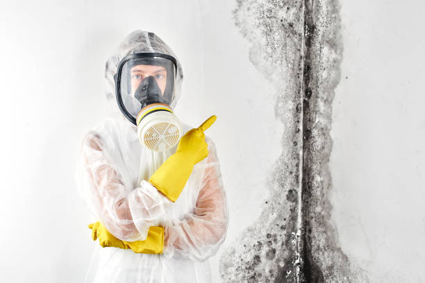 Biohazard Mold Removal in Spindale, NC